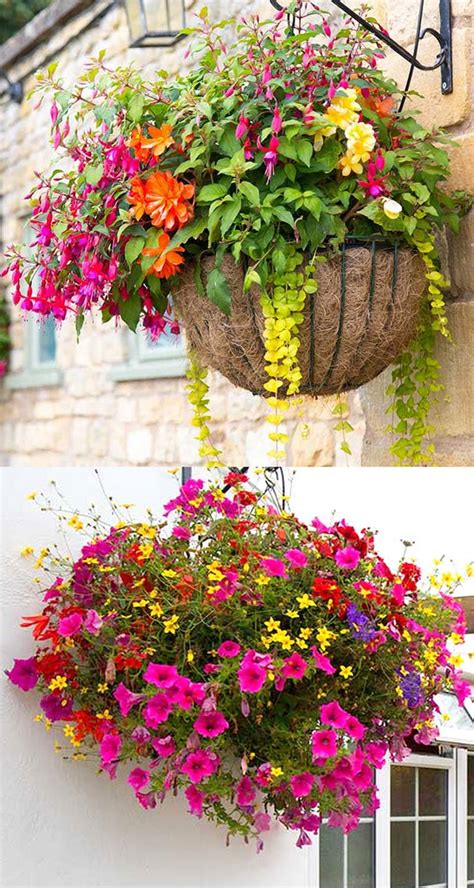 How To Plant Beautiful Flower Hanging Baskets And 20 Best Hanging