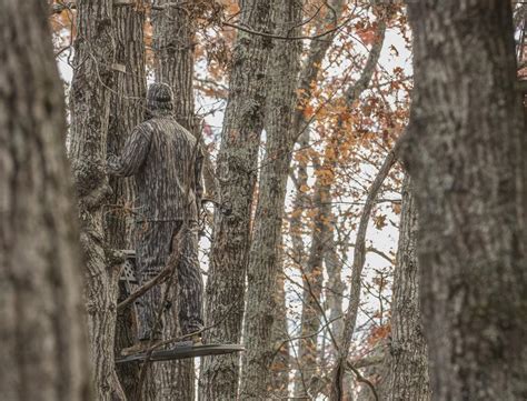 Realtree Celebrates 30 Years With Return Of Realtree Original