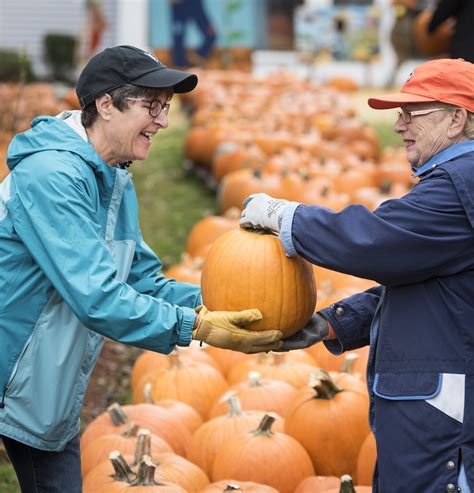 Pumpkins arrive Saturday in Saugus - Itemlive