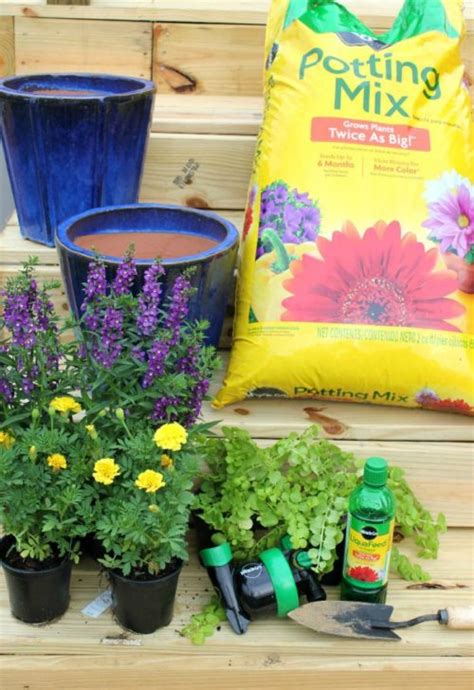 Tips And Tricks For The Perfect Container Garden