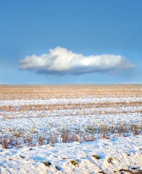 White Snow Covered Ground In Denmark On A Cold Winter Day With