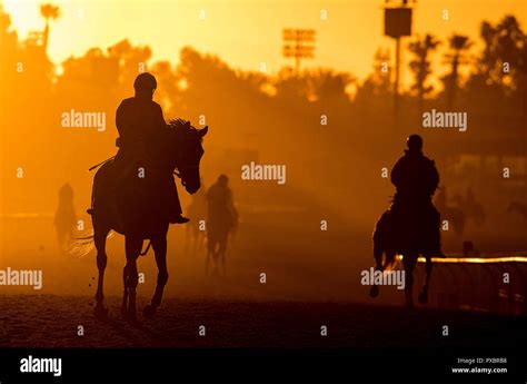 Horse 0012 hi-res stock photography and images - Alamy