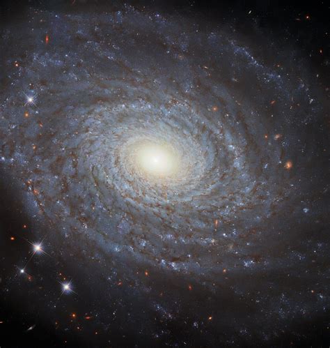 Hubble Space Telescope Captures Spiral Galaxy Ngc 691 In Stunning