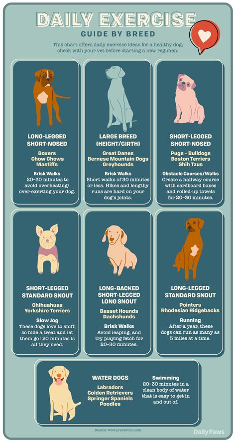 How To Stop Puppy Aggression Signs And Calming Methods