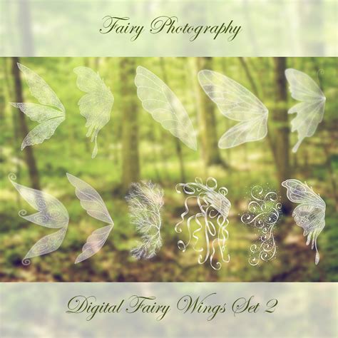 Fairy Wings Photoshop Brushes Set 2 Christy Peterson