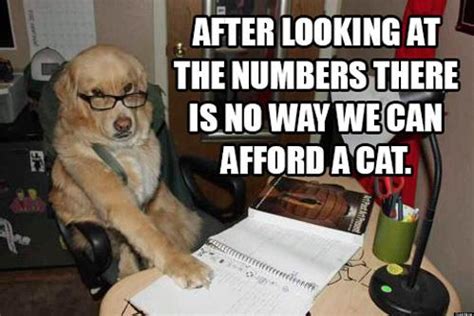 6,001 likes · 14 talking about this. Tax Return Problems? Ask Financial Advice Dog! | HuffPost UK