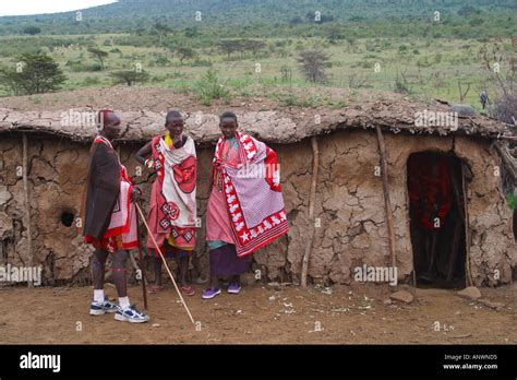 Maasai Women In Masai Village Showing Mud Huts Made Of Sticks And Cow