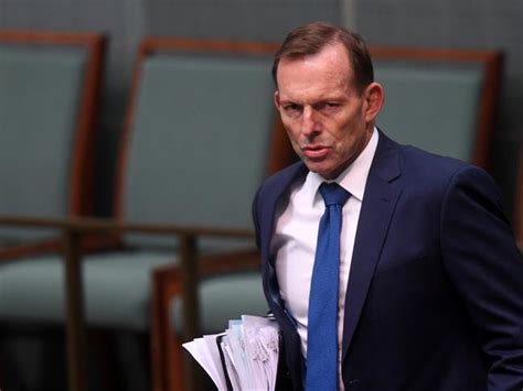 Gay Marriage Debate Tony Abbott Urges Australia To Vote ‘no News