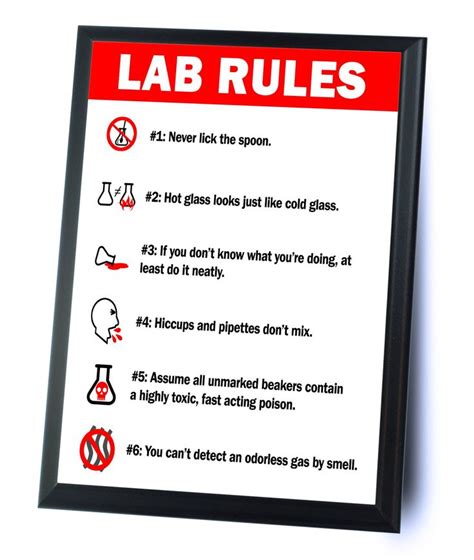 Lab Rules Funny Typography Wall Plaque 9x12 Wall Plaques Plaque Sign