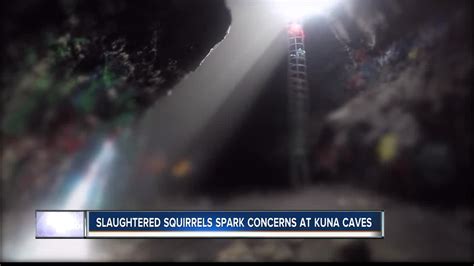 Kuna Caves Visitors Discover Mutilated Animals