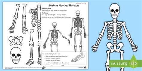 Make A Moving Skeleton Worksheet Anterior View Printable