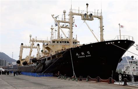 Japans Research Whaling Draws To A Close After 30 Year Struggle Eye