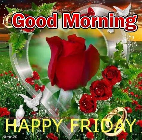 Good Morning Happy Friday Quote With Roses Happy Friday  Happy
