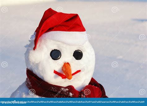 Snowman With Hat Carrot Nose Stock Photo Image Of Snowing Pine