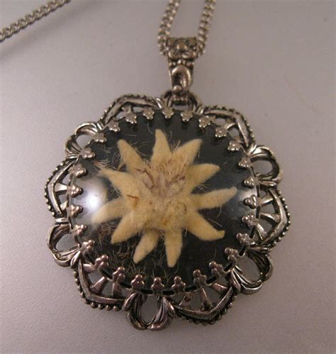 Vintage Encased Genuine Dried Edelweiss Flower Pendant And 18 Chain