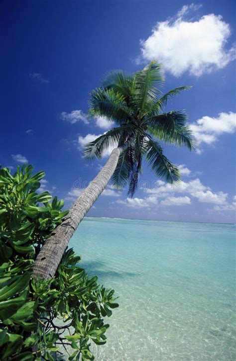 Asia Indian Ocean Maldives Seascape Beach Stock Image Image Of Island