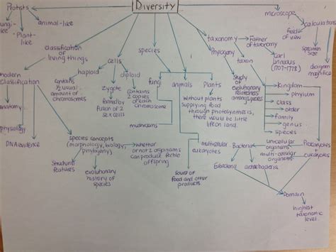 Biodiversity Concept Map SexiezPicz Web Porn