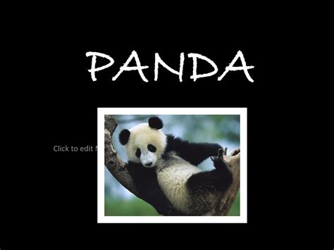 Ppt Panda Powerpoint Presentation Free Download Id5260560