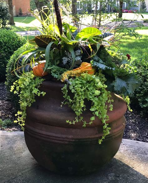 Adorn Fall Planters Fall Planters Container Gardening Fall Containers