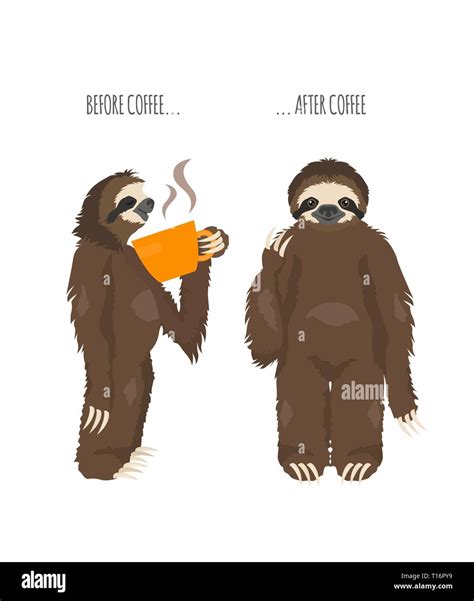 The Story Of One Sloth Morning Cofee Funny Cartoon Sloths In