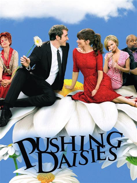Pushing Daisies Season 2 Pictures Rotten Tomatoes