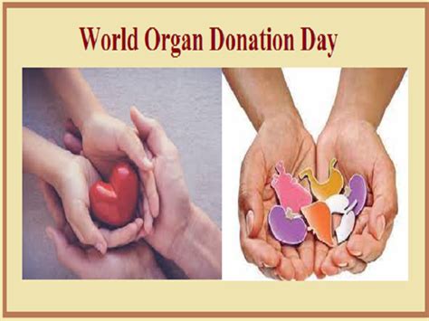 World Organ Donation Day 2021 Origin History Significance And Facts