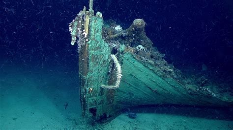 Researchers Accidentally Found A Mid 19th Century Shipwreck