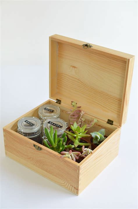 Take cardboard sheets and fold them to make boxes out of them. DIY succulent gift box | BURKATRON