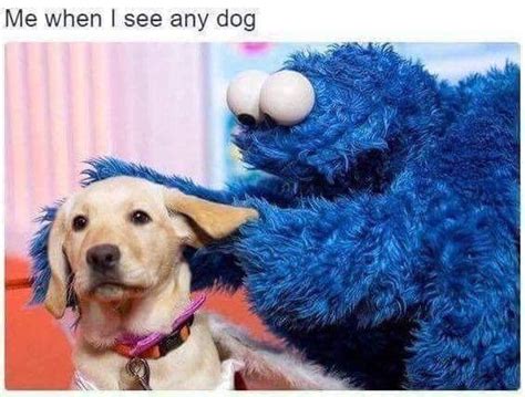17 Doggo Memes Thatll Get You Feelin Warm And Fuzzy Funny Dog