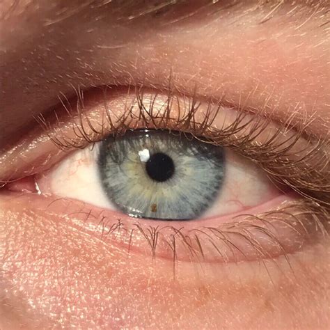 Filea Close Up Of A Blue Green Human Iris With Visible Freckle