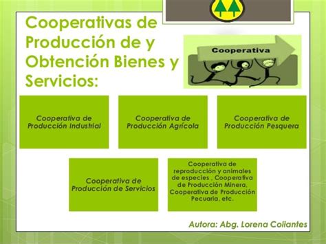 Las Asociaciones Cooperativas En Venezuela