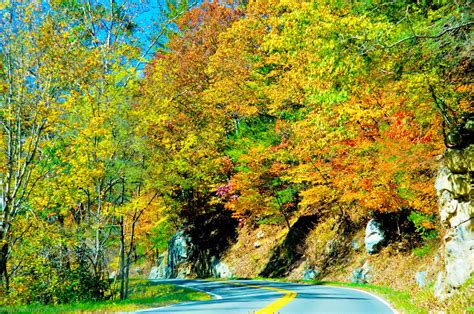 Autumn Season Road Free Stock Photo Public Domain Pictures