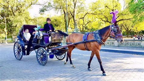 Central Park Carriage Rides New York City Vip Tours