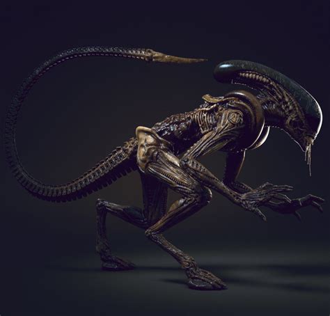 Cyberclays Xenomorph Alien Vs Predator Predator Alien