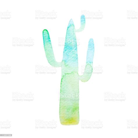 Watercolor Vivid Hand Painted Cactus Succulent Illustration Isolated On