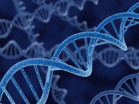 Five years after his daughter's disappearance, danish police officer rolf discovers a fatal flaw in the dna database and might finally be able to find her. SERIOUS WONDER | Genetic Hacking: The Once and Future DNA - SERIOUS WONDER