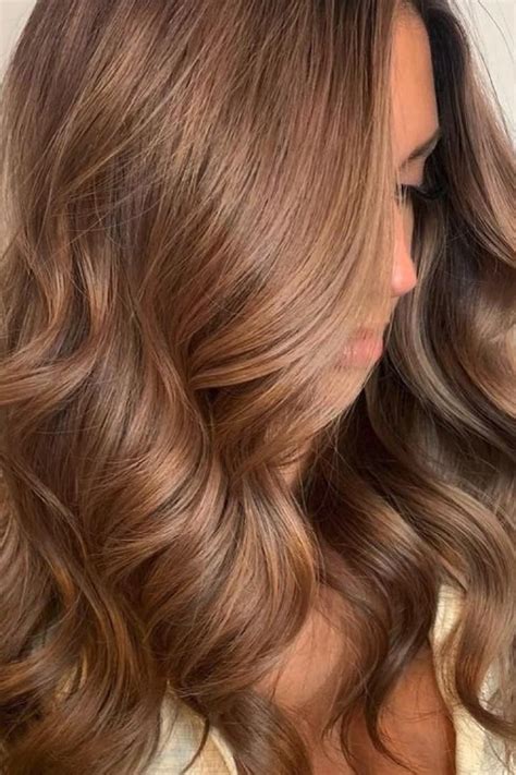 Honey Brown Hair Is The Sunkissed Brunette Shade You Need Vidéo Cheveux teints Idée couleur