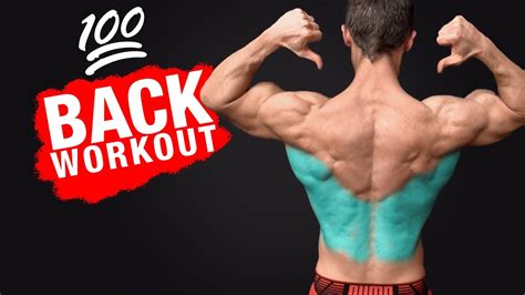 The Back Workout MOST EFFECTIVE YouTube