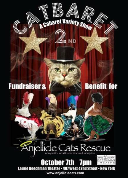 Catsparella Anjellicle Cats Rescue Presents Catbaret 2nd Annual