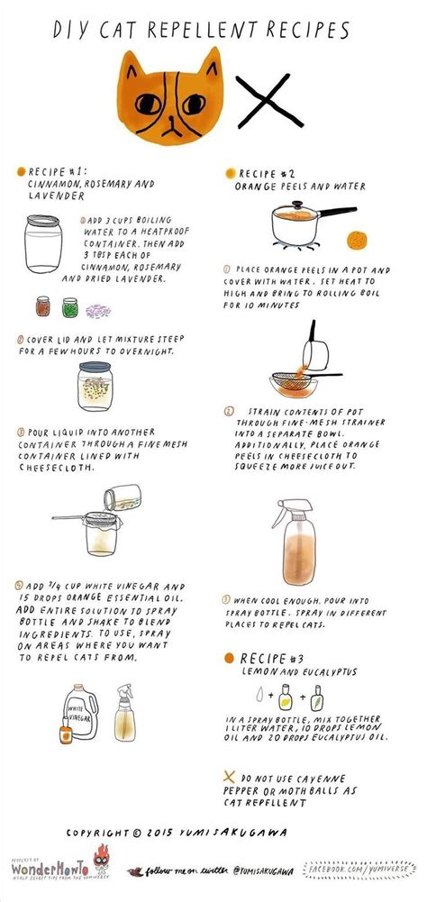 Or if you're a new. DIY Cat Repellent Spray: 3 All-Natural Recipes That Are ...