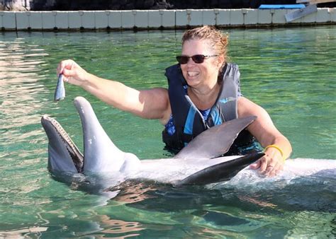 Dolphin Quest Waikoloa 2022 Alles Wat U Moet Weten Voordat Je Gaat