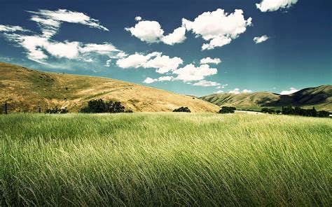 Grass Field Hills And Clouds Anime Grassy Hills Hd Wallpaper Pxfuel