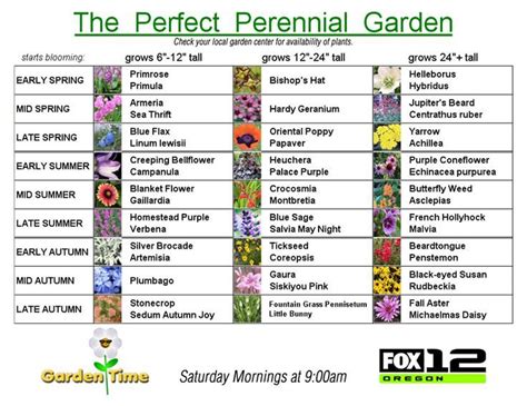 The Perfect Perennial Garden Ive Been Looking For A Chart Like This