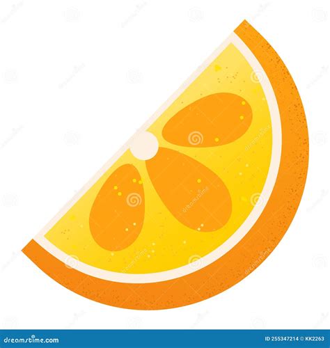Half Of Orange Slice Stock Vector Illustration Of Nature 255347214