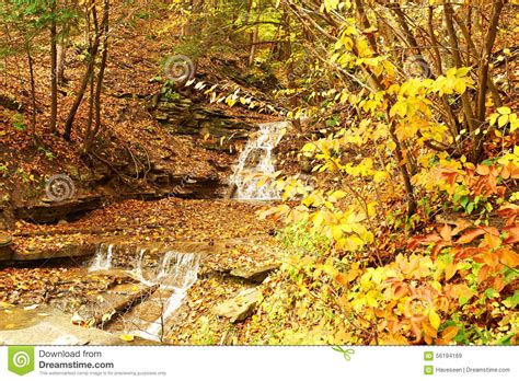 Autumn Scene Of Waterfall Stock Image Image Of Genesee 56194169