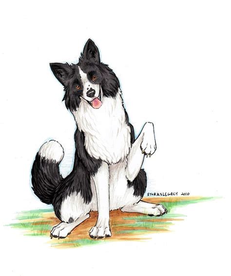Deviantart More Like Dalmatian 3 By Fangsandclaws1688 Border Collie