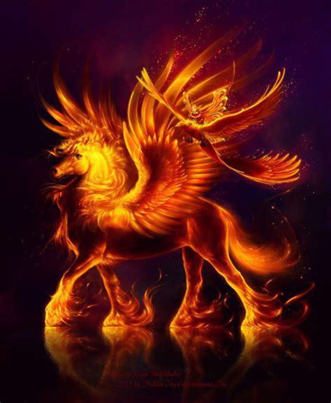 Fiery Pegasus Phoenix And Fairy Mythical Creatures Art Mythological