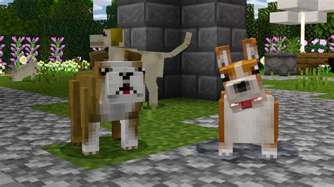 Pets Dogs Minecraft Map
