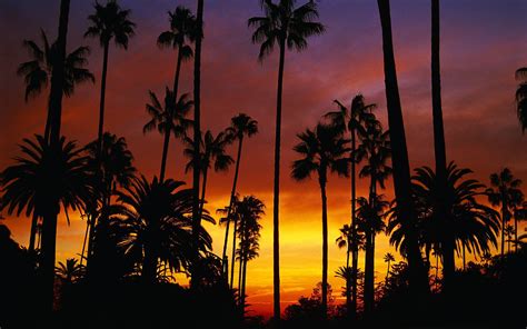 Hotel California Wallpapers Top Free Hotel California Backgrounds