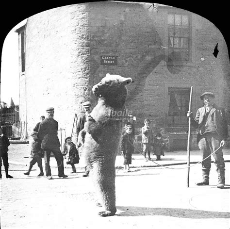 Dancing Bear Performing For Crowd Castle Street Inverness Dancing Bears Dance Victorian Life